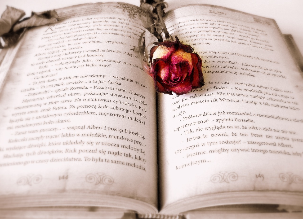 Cine a scris Iliada, ce gen literar este Harry Potter și alte lucruri literare