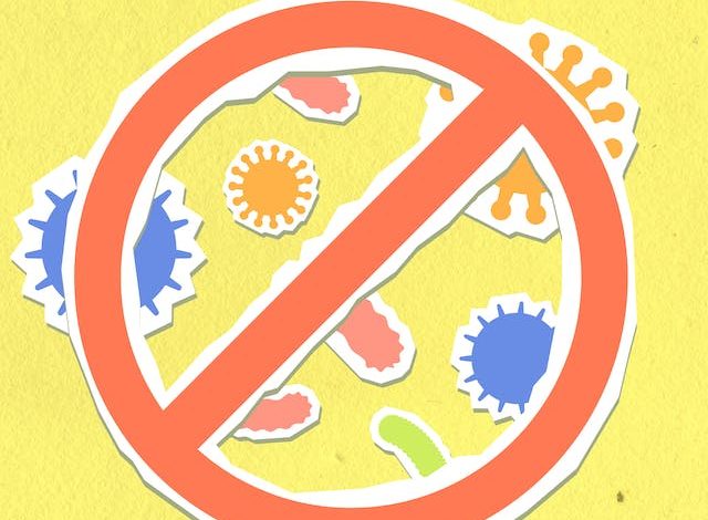 Microbii între probiotice și prebiotice