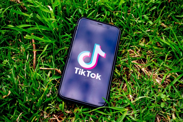 TikTok printre tineri