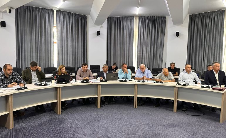 Reforma Romsilva: fără concedieri, cu mai multă eficiență