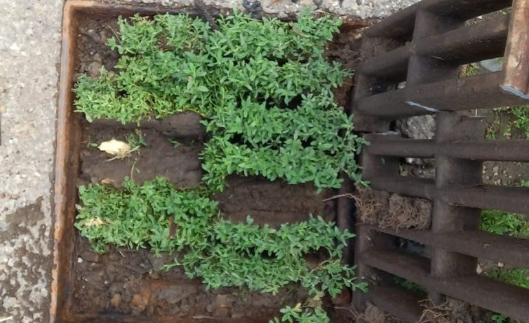 puncte de scurgere curățate