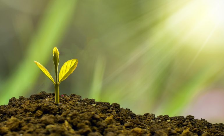 Ce înseamnă economia subterană