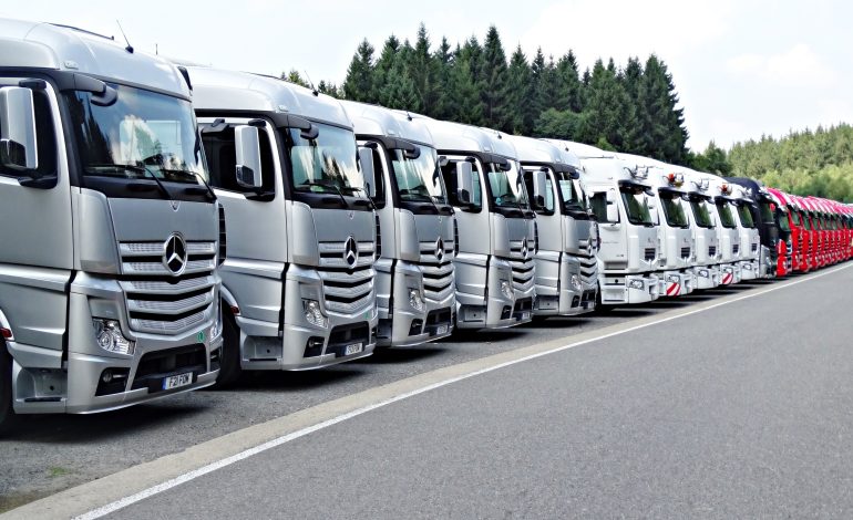 Cum funcționează licențele de transport